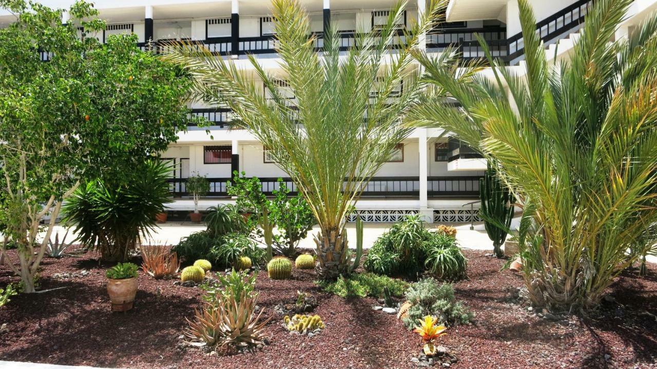 100 Meters From The Ocean Apartment Callao Salvaje Exterior photo
